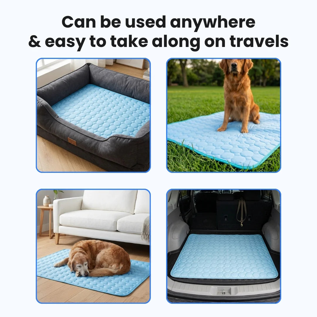 Spring and Summer Cool Mat Silk