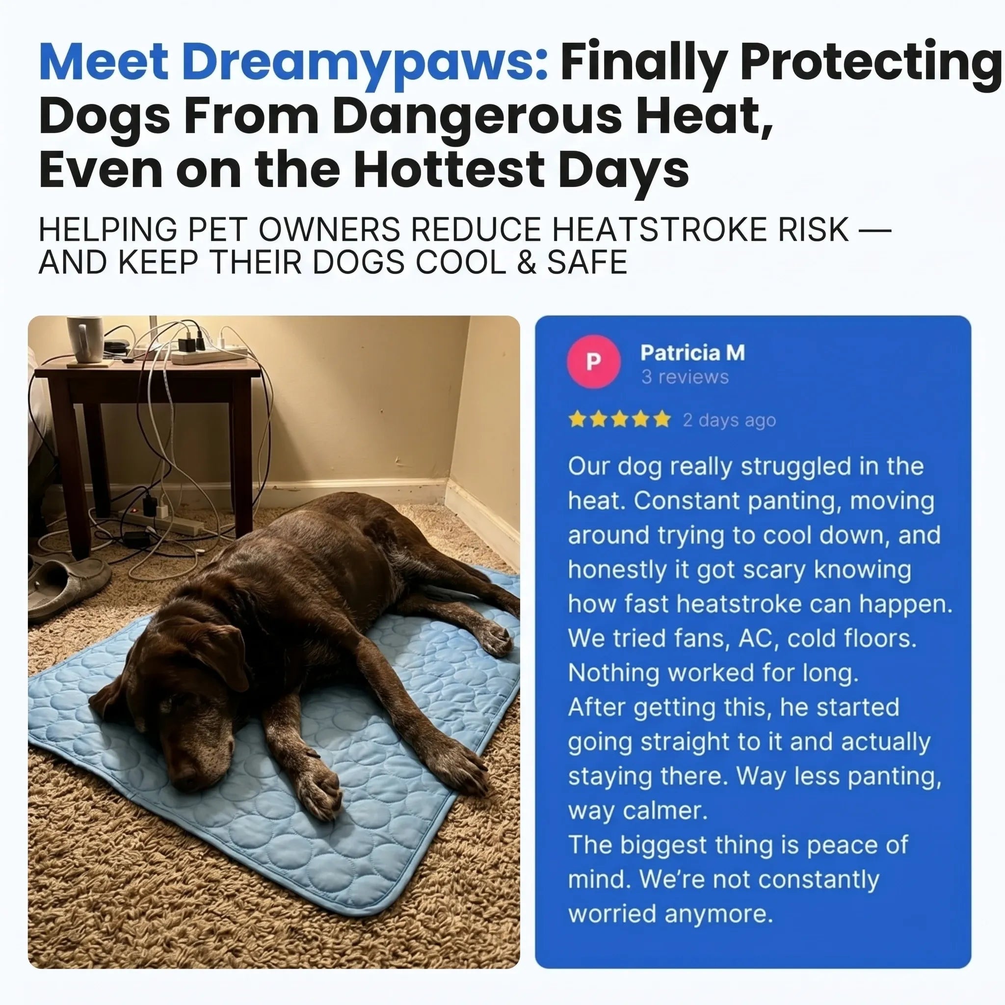 https://cdn.dropmagic.ai/medias/b042c82c-f9b4-4df8-a5f0-9c165077b622.webp